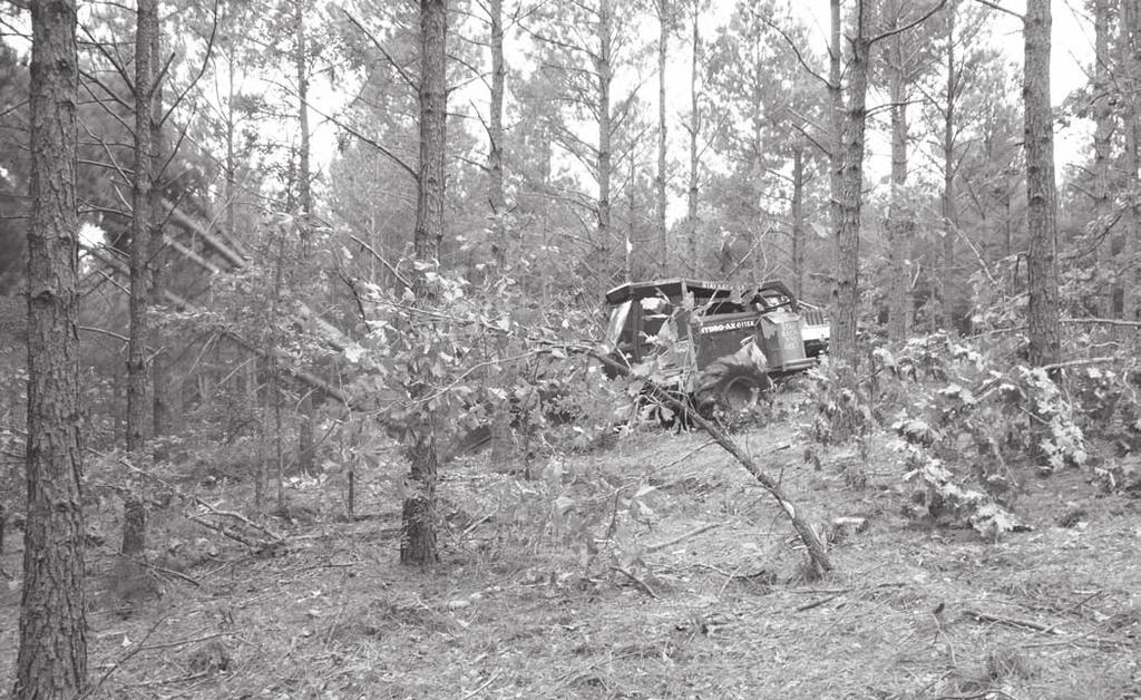 Feller buncher thinning in a 25-year old loblolly pine plantation. (photo by Tony Johnson) Based on current FIA estimates, biomass from standing residuals and logging residue combined totaled 26.