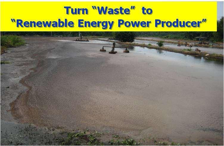 Existing Waste Utilization Turn Waste into Renewable