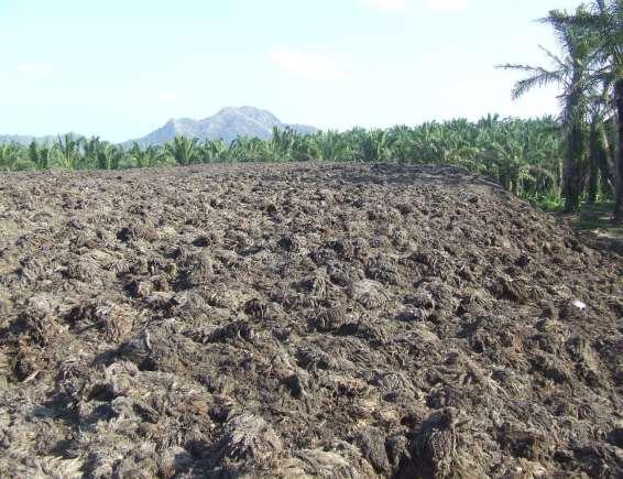 Look at Biomass palm residue Potential From Palm Oil Mill Abundant of