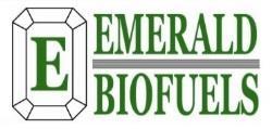 biomass feedstocks Cost-competitive biofuels (w/o