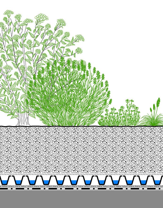 System Data Sheet Roof Garden with Weight kg/m² dry water saturated Height mm Lawn, perennials, with deeper substrate layers also shrubs and small trees resp.