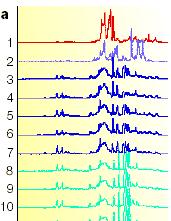 Data Analysis in Metabolomics NMR Spectra Primary Data