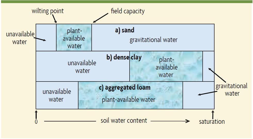 Water storage depends on texture, organic