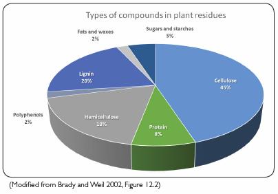 OM Composition Biomass from: Plant Tissues Fungi Bacteria Animals
