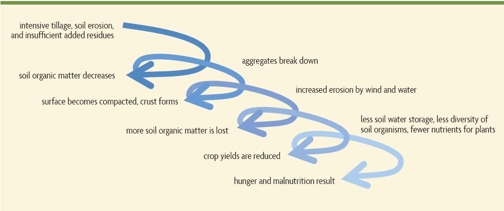 Downward Spiral of Soil Degradation 1. Intensive tillage, insufficient added residues, low diversity, no surface cover 2. Soil organic matter decreases, erosion, subsoil compacted 4.