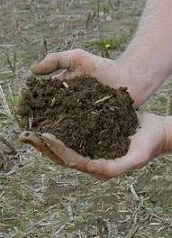 Soil Health Philosophy: A healthy soil is balanced and therefore provides for crop resiliency