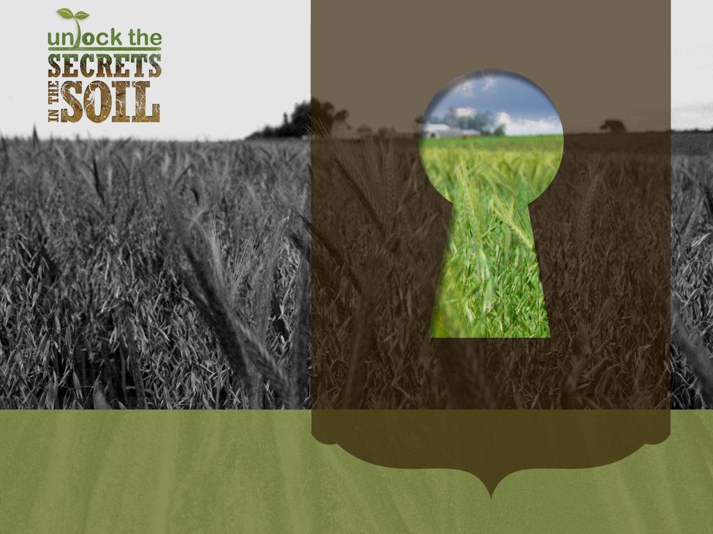 Key principles to improve soil health Minimize soil disturbance Keep the soil covered Grow a living root