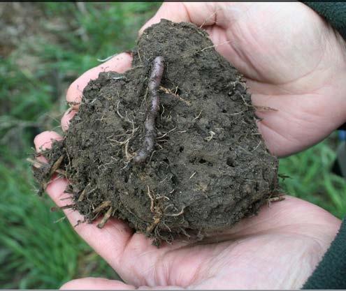 How does Soil Health relate to DEP? Regs? Chapter 102.4(a)?