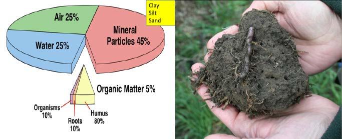 What is a Healthy Soil?