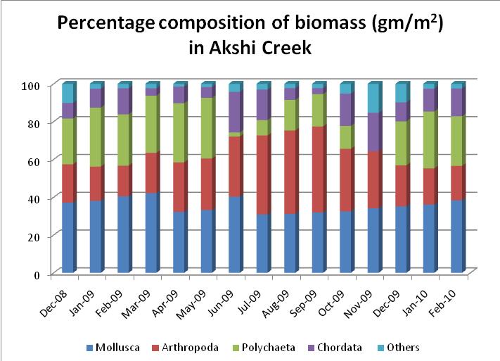 Table. Percentage composition of biomass ( ) in Akshi Creek Months Mollusca % Arthropoda % Polychaeta % Chordata % Others % Dec-08 37.16 0.15 4.00 08.6 10.09 Jan-09 38.06 19.19 31.17 11.07.
