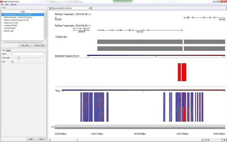 Figure 21: Viewing the region view for a region on the top of the result spreadsheet In the Chromosome View (Figure 21), the region