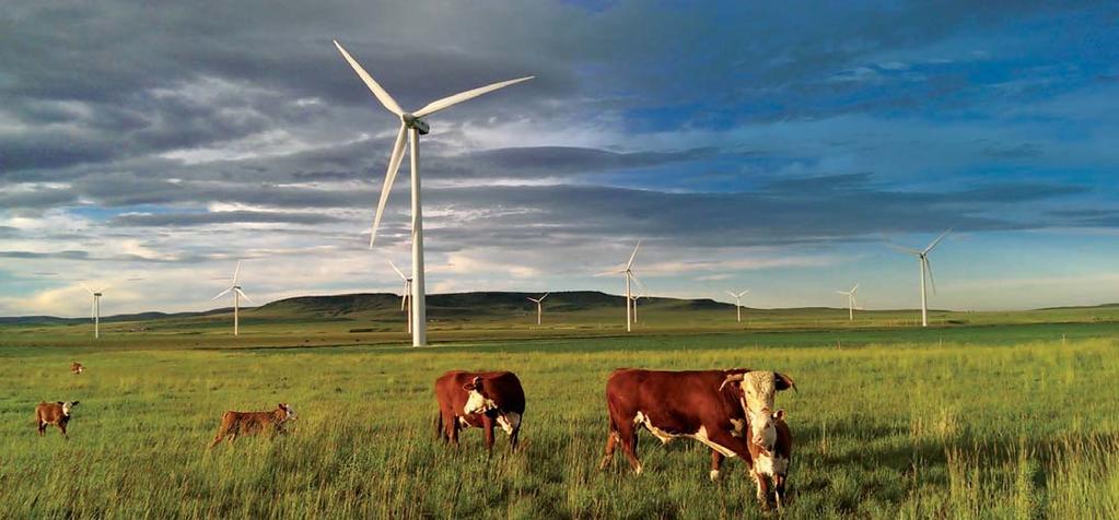 Comprised of Vestas. MW turbines, the site generates enough emissions-free electricity to power 0,000 homes.