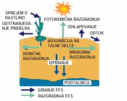 6 bo dogajalo s FFS v okolju je odvisno od njihovih lastnosti, lastnosti tal, klimatskih razmer ter načina uporabe sredstva (van Es in Trautmann, 1990). Slika 1: Usoda FFS v okolju Fig.