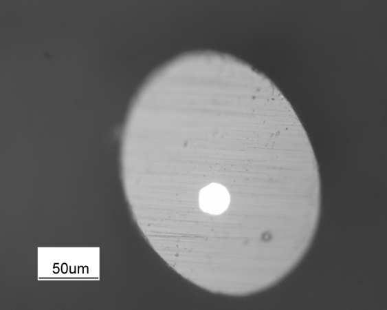 Figure 4-6 shows the working end of the microelectrode, 50 µm line of the micrographs was used to calibrate the as scale of the Image-J.