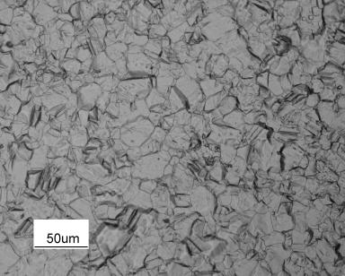 a b c d e Figure 5-27: Microstructure of different materials after reactivation test.