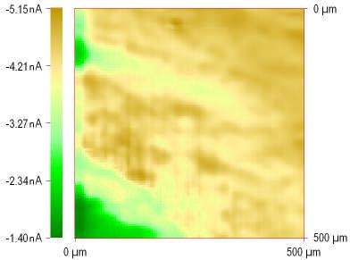 activity at the surface is slightly changed with the time which caused the SECM features to disappear with repeated scans.