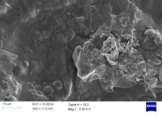 Scanning Electron Microscopy (SEM) of the optimized formulation: The Scanning Electron Microscopic (SEM) Analysis was conducted using a JOEL (Model - JSM 840A) Scanning Microscope for the optimized