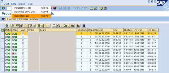 Batch Manager Information The batch manager information of any process chain give the information of the work processes used mapped against time.