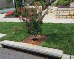 Bioretention as a Stormwater Management Strategy Filtration and Biological Treatment in One System Stormwater management regulations such as Low Impact Development (LID) and Green Infrastructure (GI)