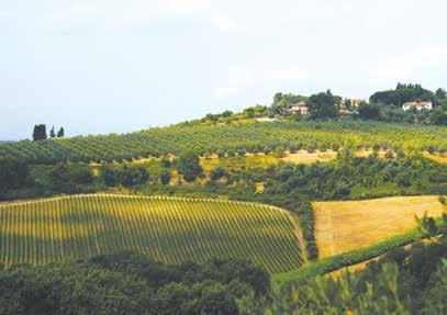 Chapter 3: Heritage wheat renaissance in Montespertoli, Tuscany 1.1. Mezzadria system, SEPLs in Tuscany Tuscany s land distribution has gone through a series of changes in the course of history.