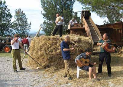 Chapter 3: Heritage wheat renaissance in Montespertoli, Tuscany the Montespertoli project is one of the few that makes sure the farmers are paid more and that intentionally creates social aggregation