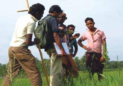 The erosion of rice agrobiodiversity in Wayanad was analysed from the disciplinary domains of ecology, economics, and social sciences.