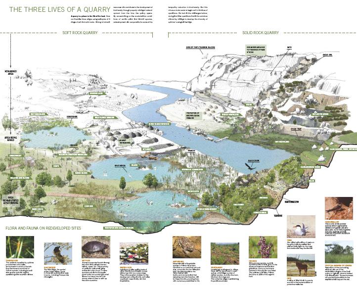Life of a Quarry A Chance to Create New Habitats Before