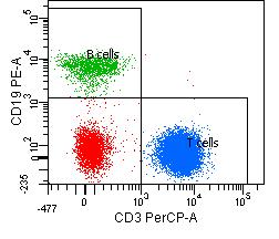 3-Color Flow Cytometric Crossmatch T cell X-match B cell X-match