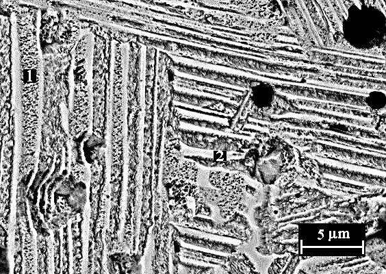 At 1300 C, the first two-phase areas resembling a two-phase lamellar microstructure become distinguishable.