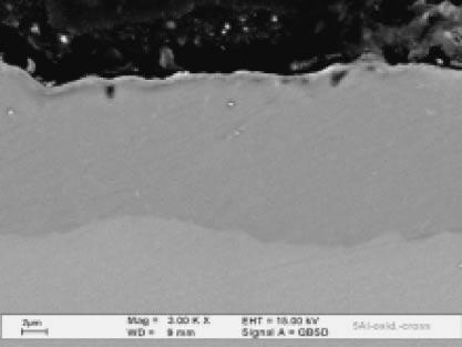 The layer thickness of formed phase was determined by the measured function of the SEM, using the average of ten measurements.
