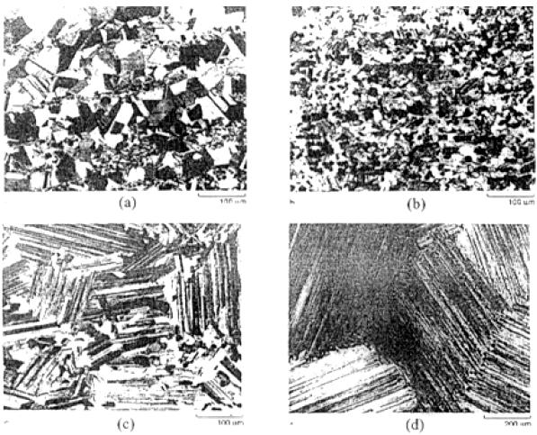 Figure 3 Four typical microstructures of the γ-tial-based alloys after post-hot work heat treatments, (a)