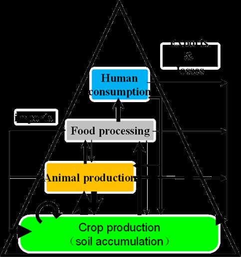 NUE in the food chain NUEf = ratio of total N in food of consumers and total N input (%) N cost of food = ratio