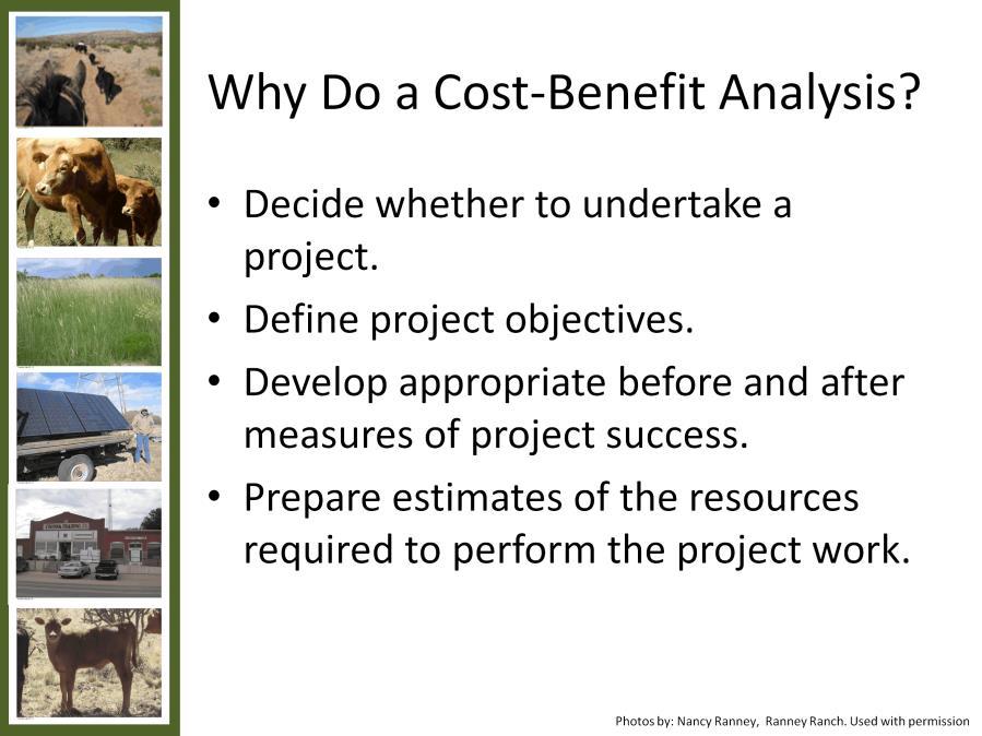 The purpose of a cost-benefit analysis is to examine both the costs and the financial benefits of a project to determine if it is beneficial to actually do the project.