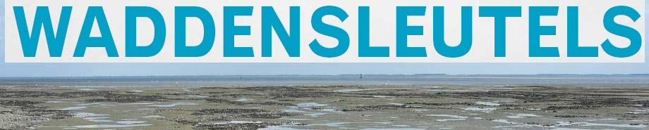 Three open PhD positions in the project WADDENSLEUTELS In the project WADDENSLEUTELS several Dutch nature conservation organizations and research institutes collaborate to a address the basic threats