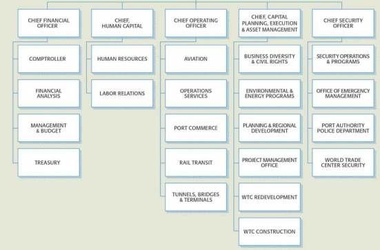 Organizational Structure Matrix Organization Project Team