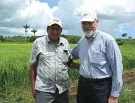 Uphoff provided us with information on the methodology on SRI (now known as SICA in Cuba and elsewhere in Latin America), this same cane coop, with 16 ha dedicated to rice to feed its workers, tried