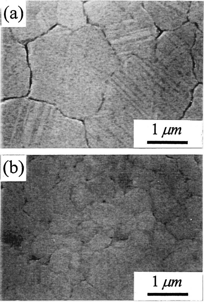G828 Figure 6. SEM micrographs of a Cu 200 nm /TaN/Ta/SiO 2 /Si, and b Cu 200 nm /Ta/TaN/Ta/SiO 2 /Si samples after annealing at 700 C. Figure 4.