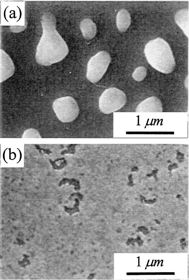 Agglomeration of polycrystalline thin films were modeled into a three-step process: 21,22 grain growth, formation of intergrain voids, and finally formation of agglomerated islands.