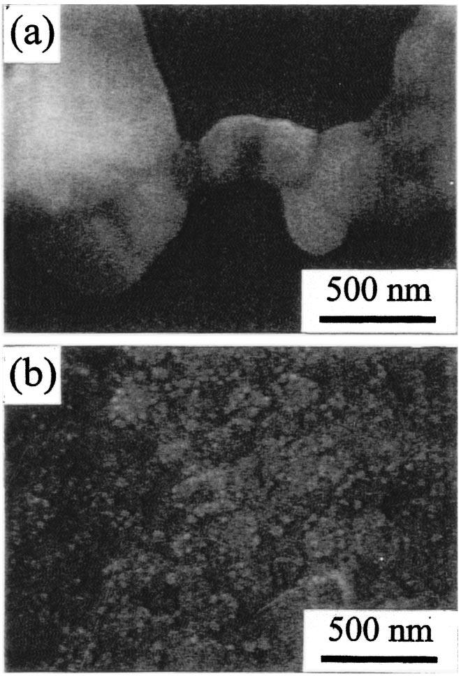Comparing with the micrograph of the 600 C annealed Cu 50 nm /TaN/Ta/ SiO 2 /Si sample Fig. 5a, it can be seen that the slightly connected islands in Fig.