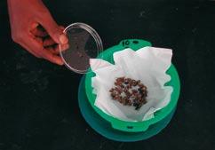 Place root sub-sample in sieves for