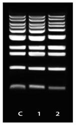Using the MagListo Magnetic Separation Rack along with the kit, high quality DNA fragments are purified much faster and easier when compared to that of column methods and excludes various impurities