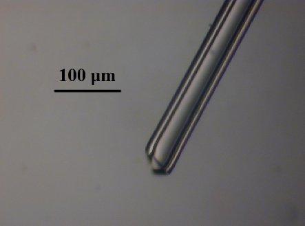3.7. Torude geomeetria mikroskoopiline analüüs Kasutatud vahendid: Optiline mikroskoop SEM Puust hambatikud Alumiiniumalused Mikroskoobiklaasid Kui