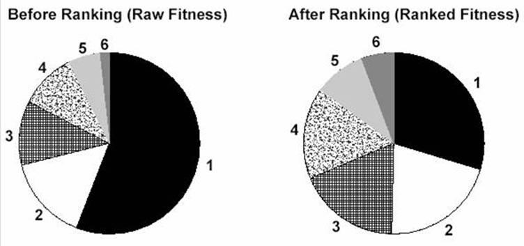Ranking Fitness Ranking: Example Linear