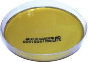MONO PLATES Bile Esculin Azide Agar W/Vancomycin Code: 1004 Bile Esculin Azide Agar with Vancomycin is recommended for use as a direct screening medium in the isolation and presumptive identification