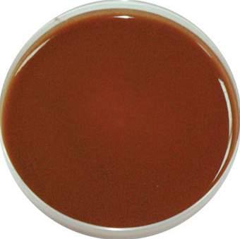 Growth with Green / Blue Colonies CHOCOLATE AGAR Code: 1027 Chocolate Agar is a non selective highly enriched medium for
