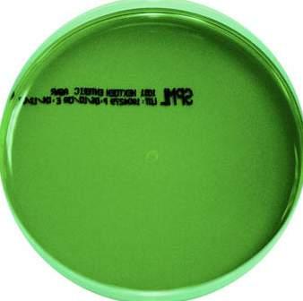 MONO PLATES HEKTOEN ENTERIC AGAR Code: 1051 A differential selective medium for the isolation of Salmonella and Shigella species from pathological specimens.