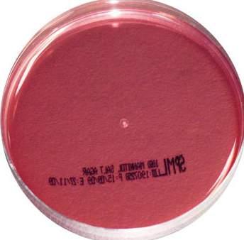 MONO PLATES MANNITOL SALT AGAR Code: 1060 A selective medium recommended for the presumptive identification of pathogenic Staphylococci.