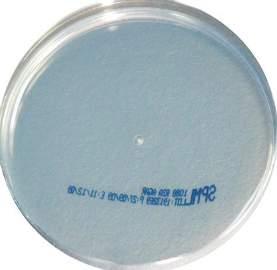 M O N O P L A T E S R2A Code: 1088 This medium is used for the enumeration and cultivation of bacteria treated potable water using longer incubation periods.