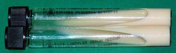 Tube M e d i a Letheen Broth Modified Code: 5103 Letheen Broth Modified is used for the microbiological testing of cosmetics.