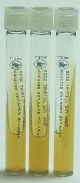 TUBE MEDIA Tryptic Soya Agar Slant Code: 5232 Tryptic soya agar is a multipurpose media which supports the growth of a wide variety of microorganisms because of its nutritional characteristics and